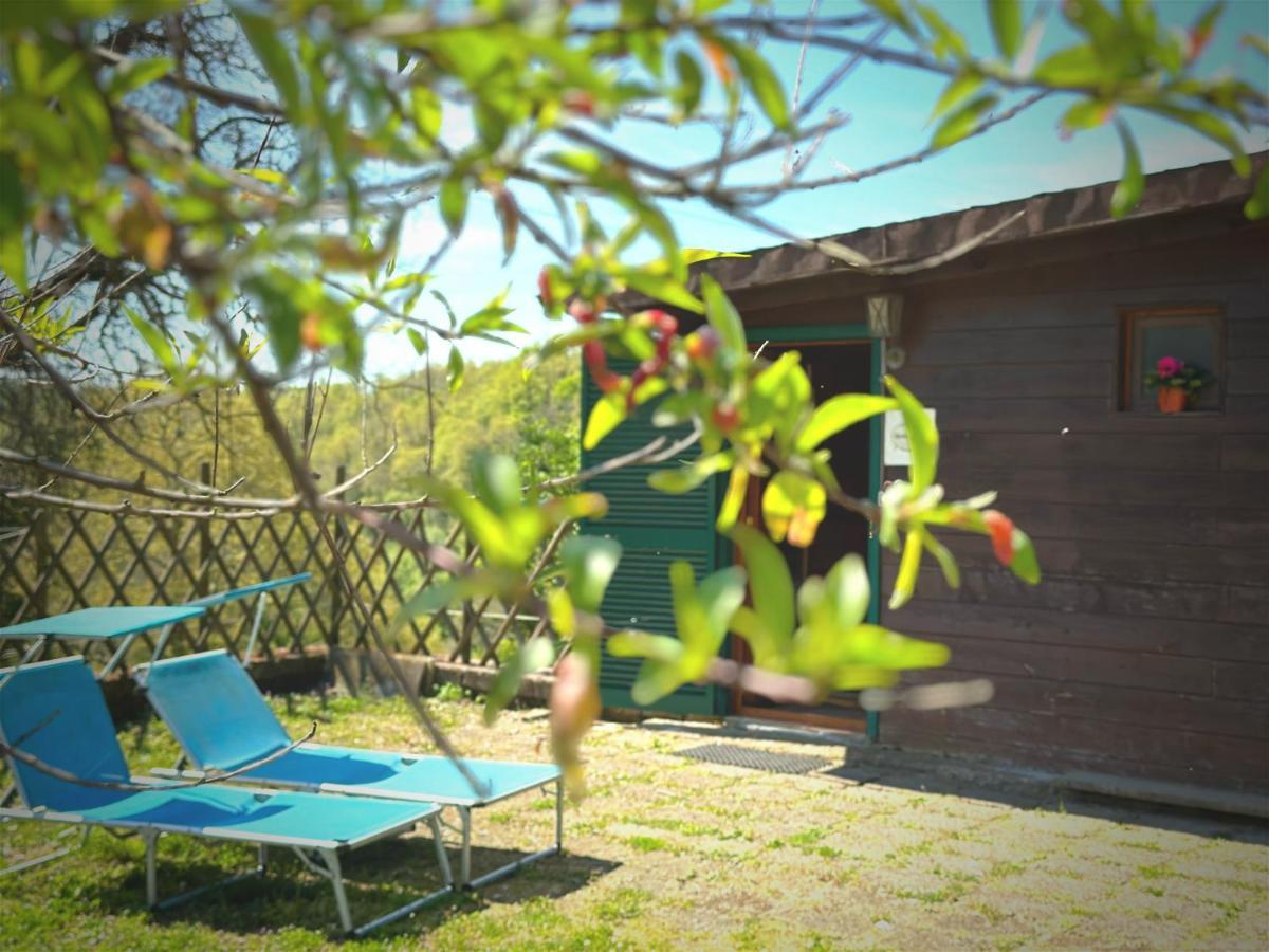 Villa Night In The Wood Sorbo à Campagnano Di Roma Extérieur photo